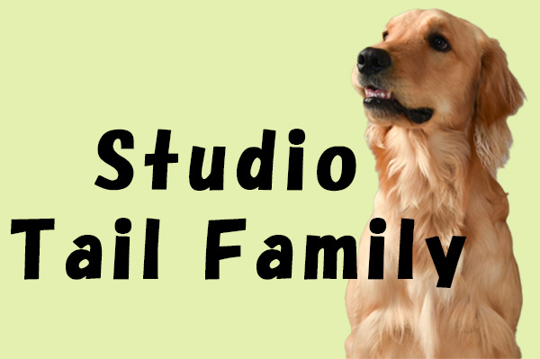 Studio Tail Family